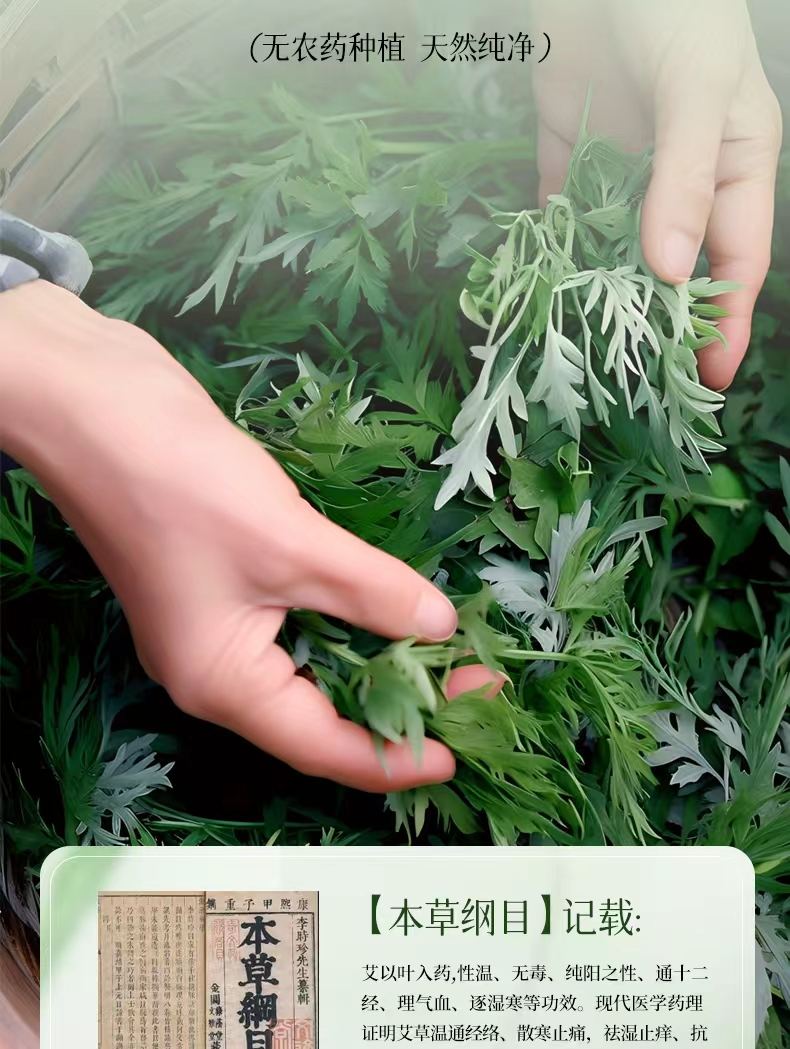 砚山艾草：无农药种植