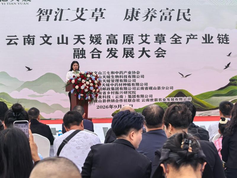 云南文山天媛高原艾草全产业链融合发展大会 · 2026 年 9 月 1 日
