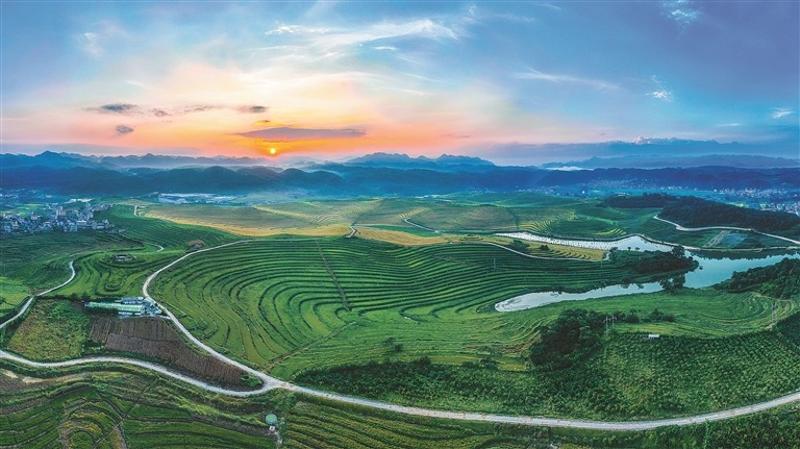 风景