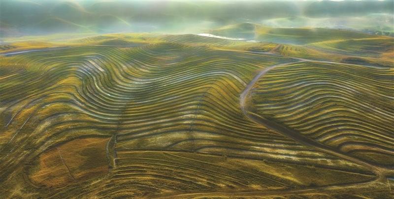 风景