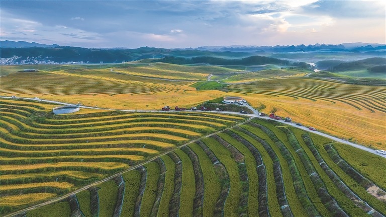 风景 · 2026年10月26日